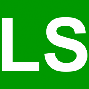 LSS for Land Surveyors