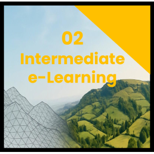 LSS Intermediate e-Learning