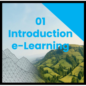 LSS Introduction